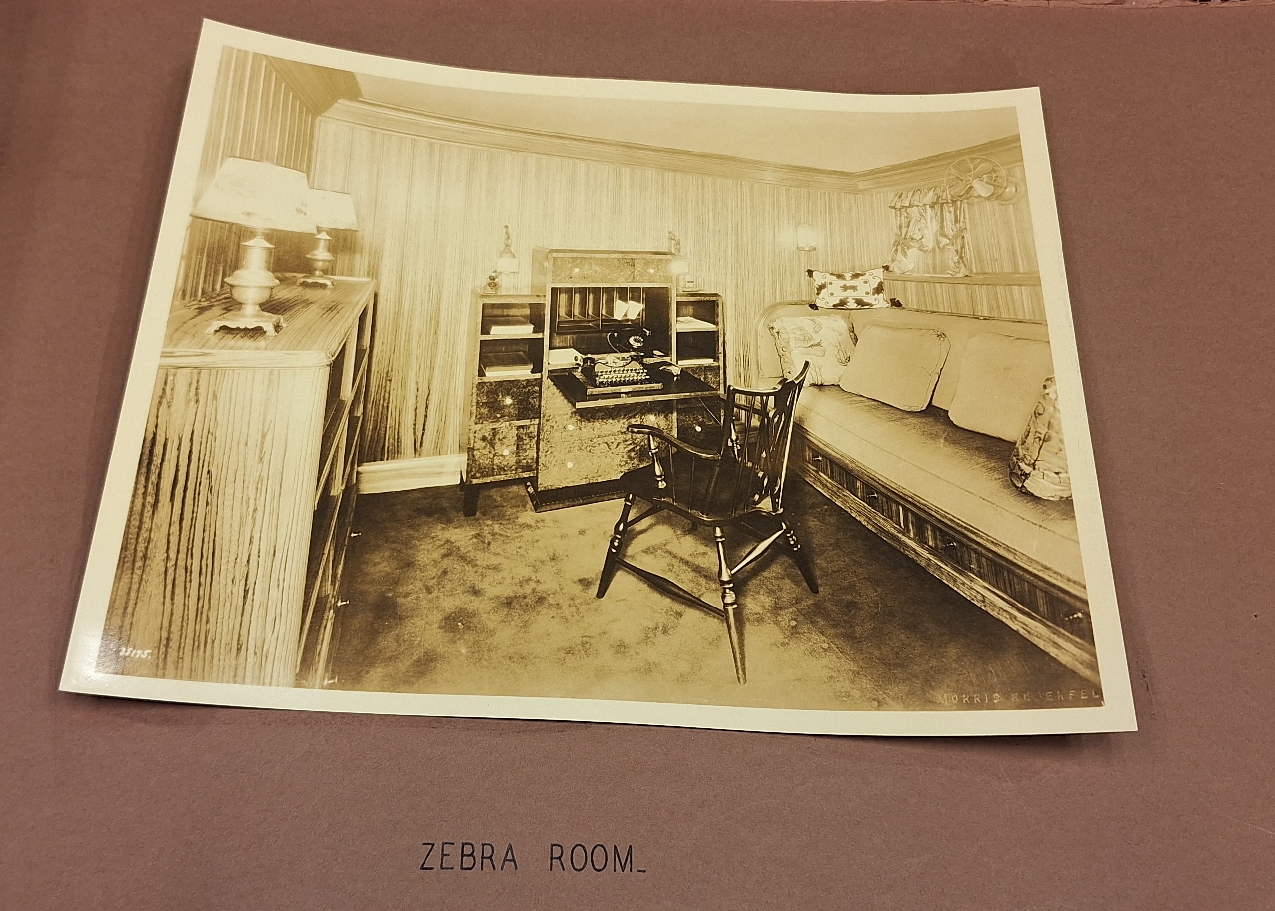 zebra room